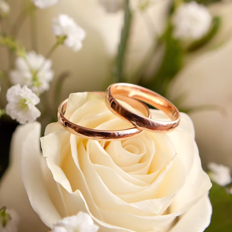 Jewellery Showrooms