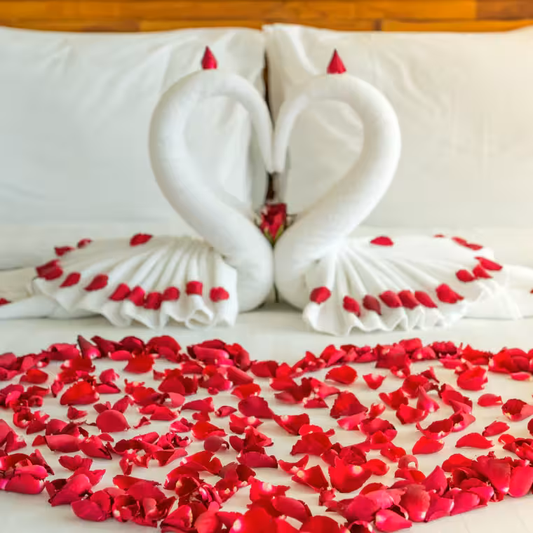 Hotels